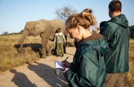 Curso de Inglês com Trabalho Voluntário